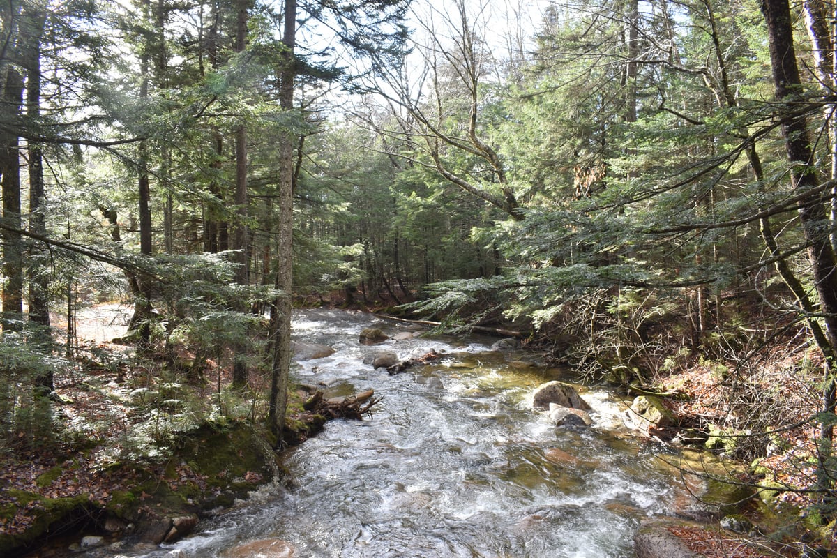 Maine